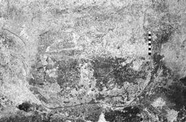 NMSA 03 1922P
