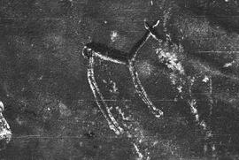NMSA 03 500P