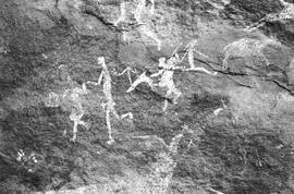 NMSA 03 7793P