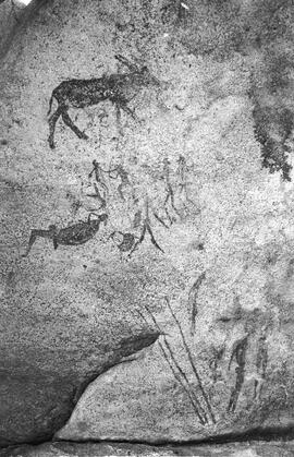 NMSA 03 59N