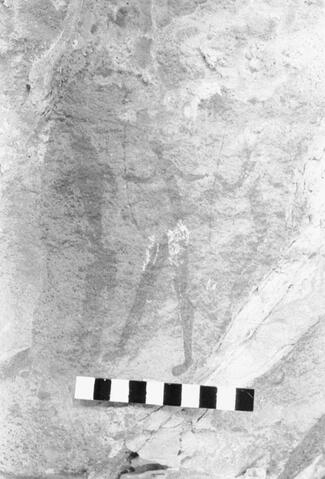 Open original Digitaal object