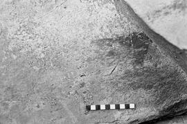 NMSA 03 4717P