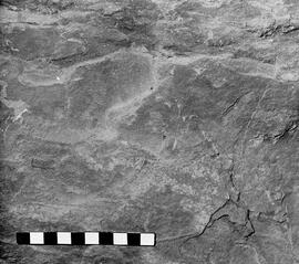 NMSA 03 5810P