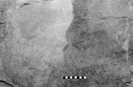 NMSA 03 6492P