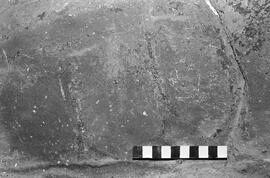 NMSA 03 1487P