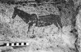NMSA 03 3255P