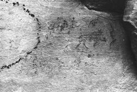 NMSA 03 439P