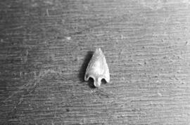 NMSA 03 8778P