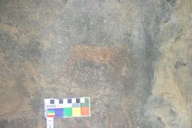 NMSA RSA SCD1 31D