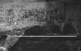 NMSA 03 192P