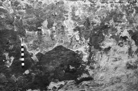 NMSA 03 4534P