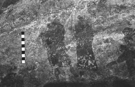 NMSA 03 5269P