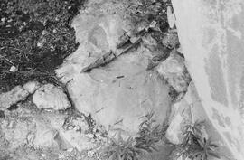 NMSA 03 4597P