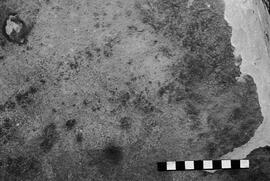 NMSA 03 4615P