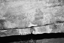NMSA 03 6036P