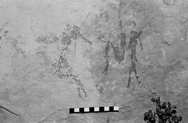 NMSA 03 5393P