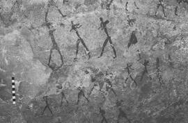 NMSA 03 5366P