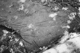 NMSA 03 8408P