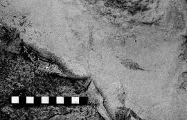 NMSA 03 4016P