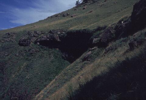 Open original Digital object