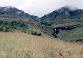 NMSA 02 298P