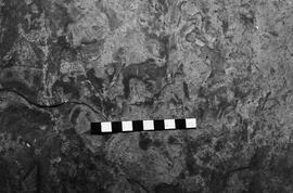 NMSA 03 3228P