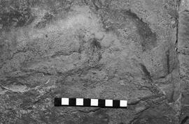 NMSA 03 4898P