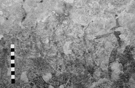 NMSA 03 6127P