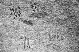 NMSA 03 381P