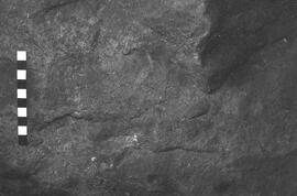 NMSA 03 2712P
