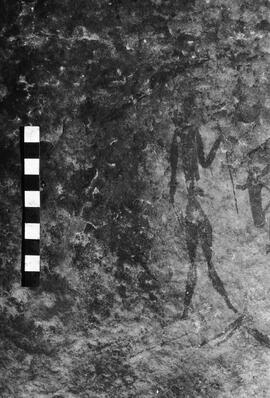 NMSA 03 4157P
