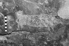 NMSA 03 4346P