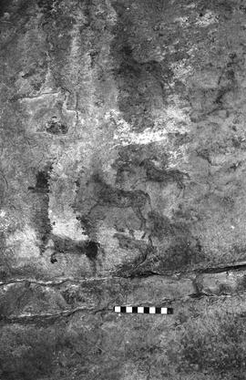 NMSA 03 4445P