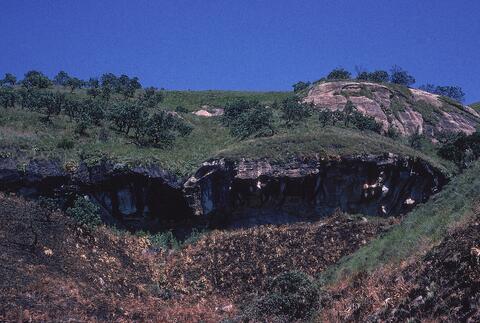 Open original Digital object