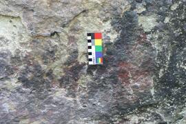 NMSA RSA BOY1 24D