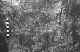 NMSA 03 5281P
