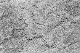 NMSA 03 7911P