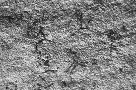 NMSA 03 129N
