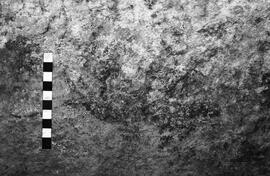 NMSA 03 4145P