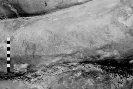 NMSA 03 6160P