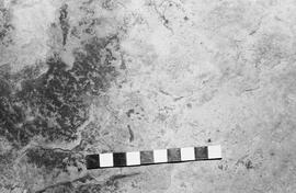 NMSA 03 1971P