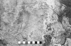 NMSA 03 1956P