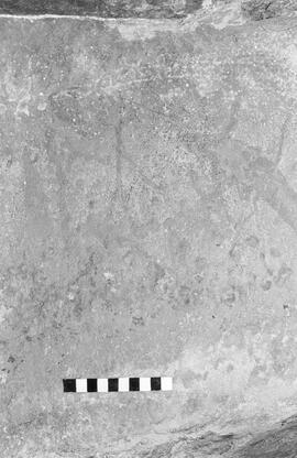 NMSA 03 1344P