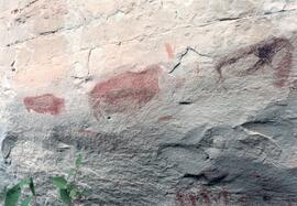 NMSA 02 81P