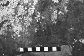 NMSA 03 2429P