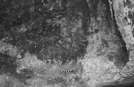 NMSA 03 3022P