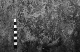 NMSA 03 3229P