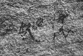 NMSA 03 128N