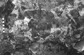 NMSA 03 4388P