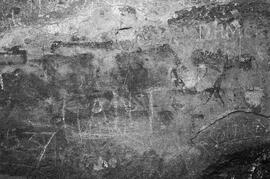 NMSA 03 7429P